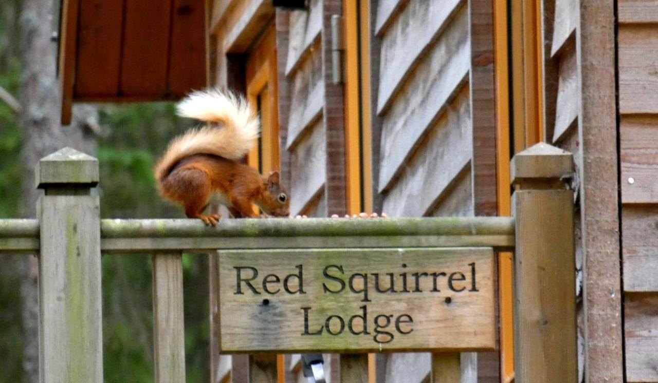Cairngorm Lodges Aboyne Ngoại thất bức ảnh