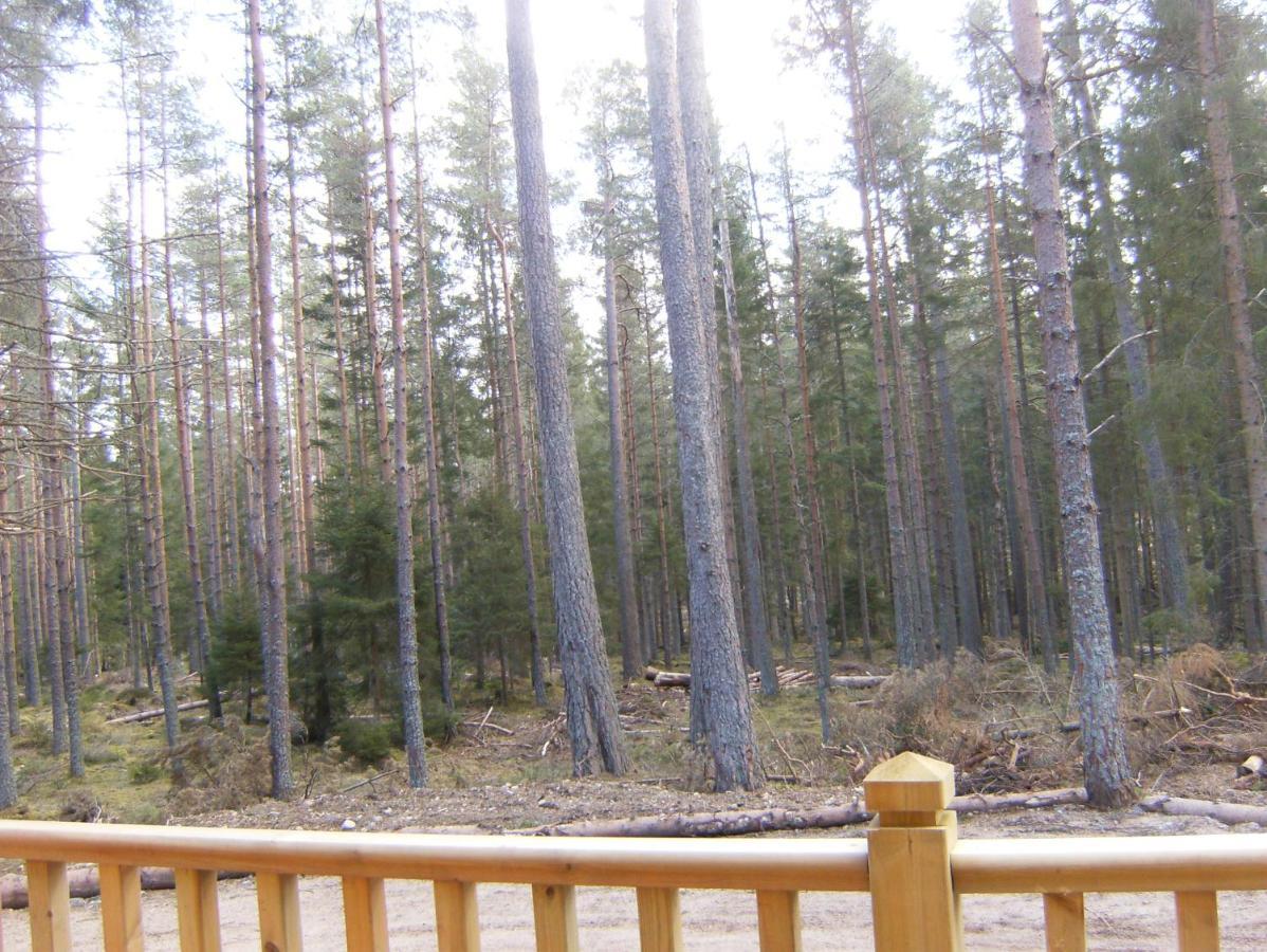 Cairngorm Lodges Aboyne Ngoại thất bức ảnh