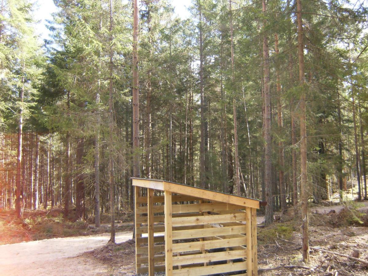 Cairngorm Lodges Aboyne Ngoại thất bức ảnh