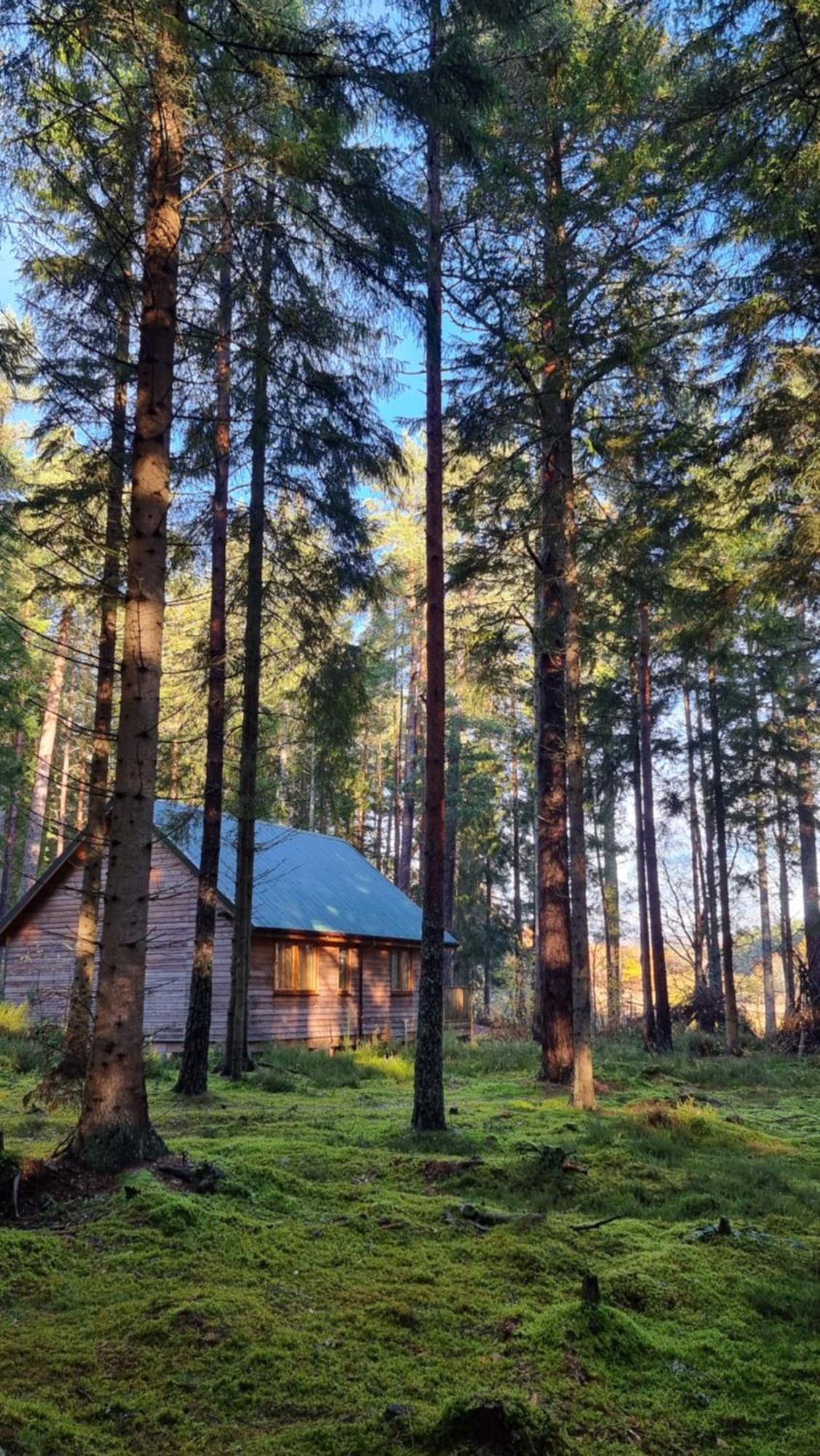 Cairngorm Lodges Aboyne Ngoại thất bức ảnh