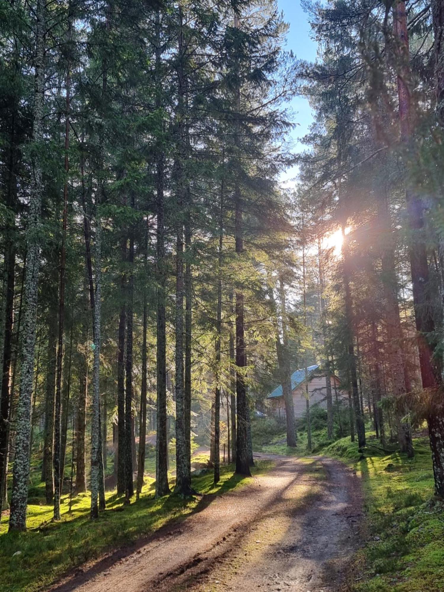 Cairngorm Lodges Aboyne Ngoại thất bức ảnh