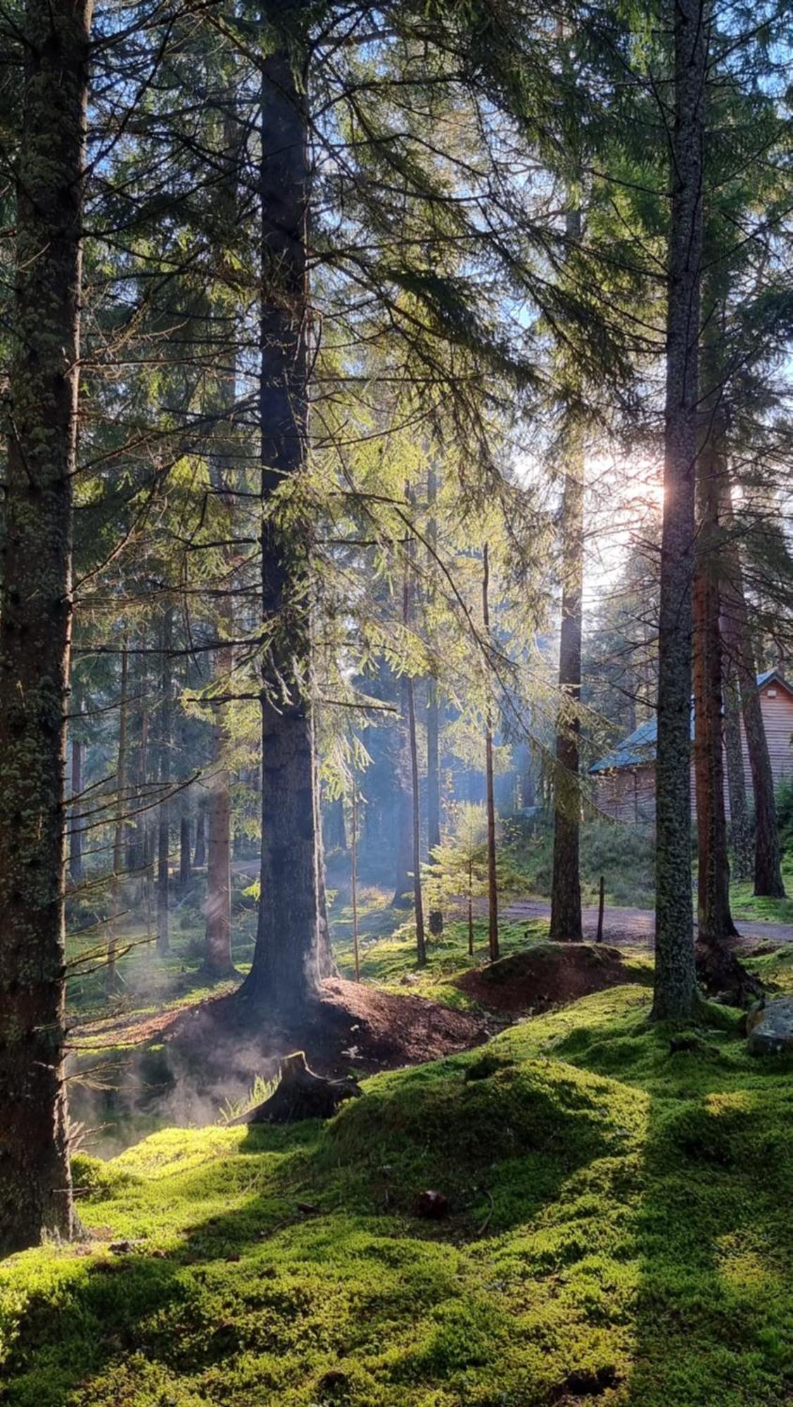 Cairngorm Lodges Aboyne Ngoại thất bức ảnh