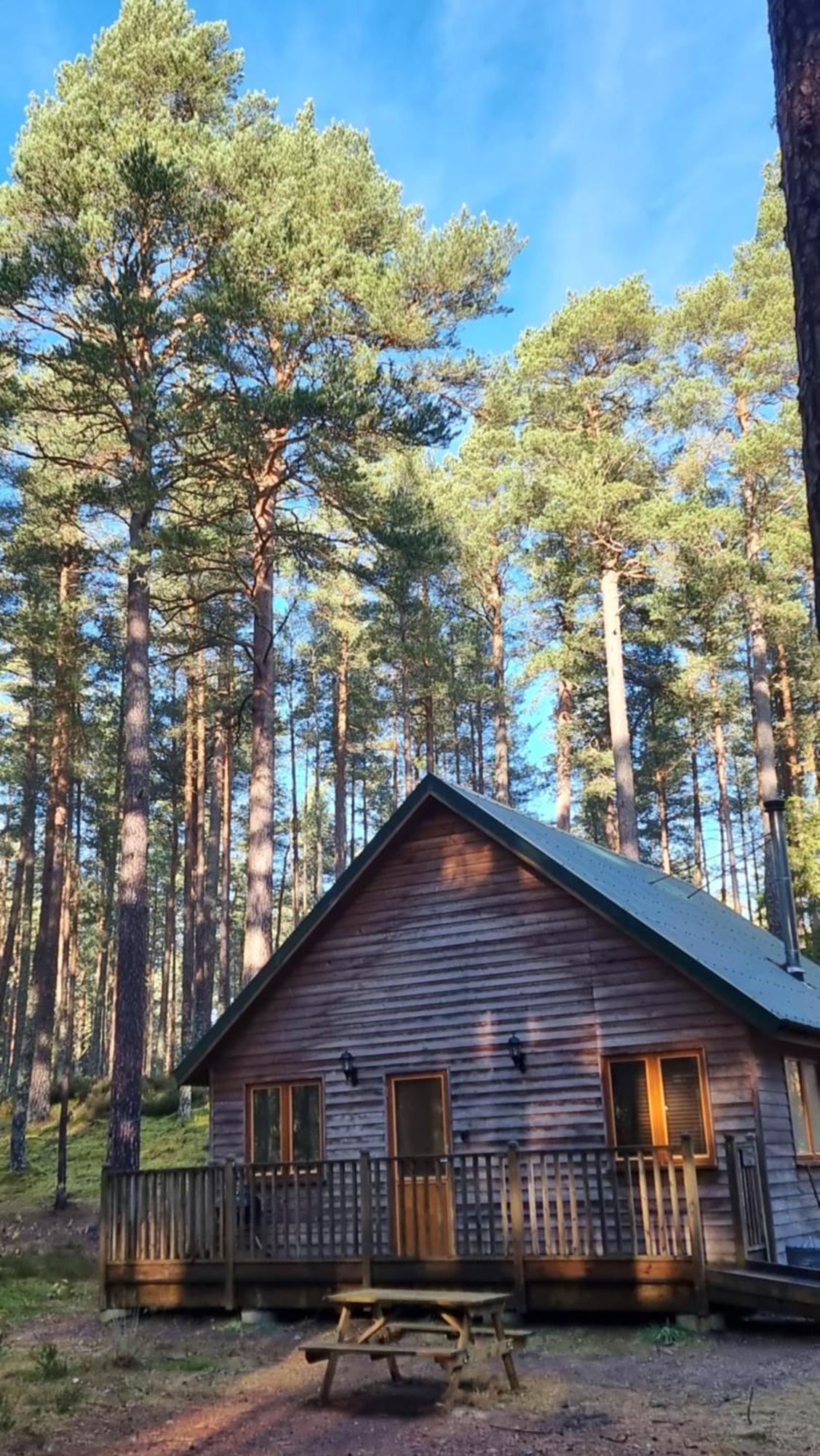 Cairngorm Lodges Aboyne Ngoại thất bức ảnh