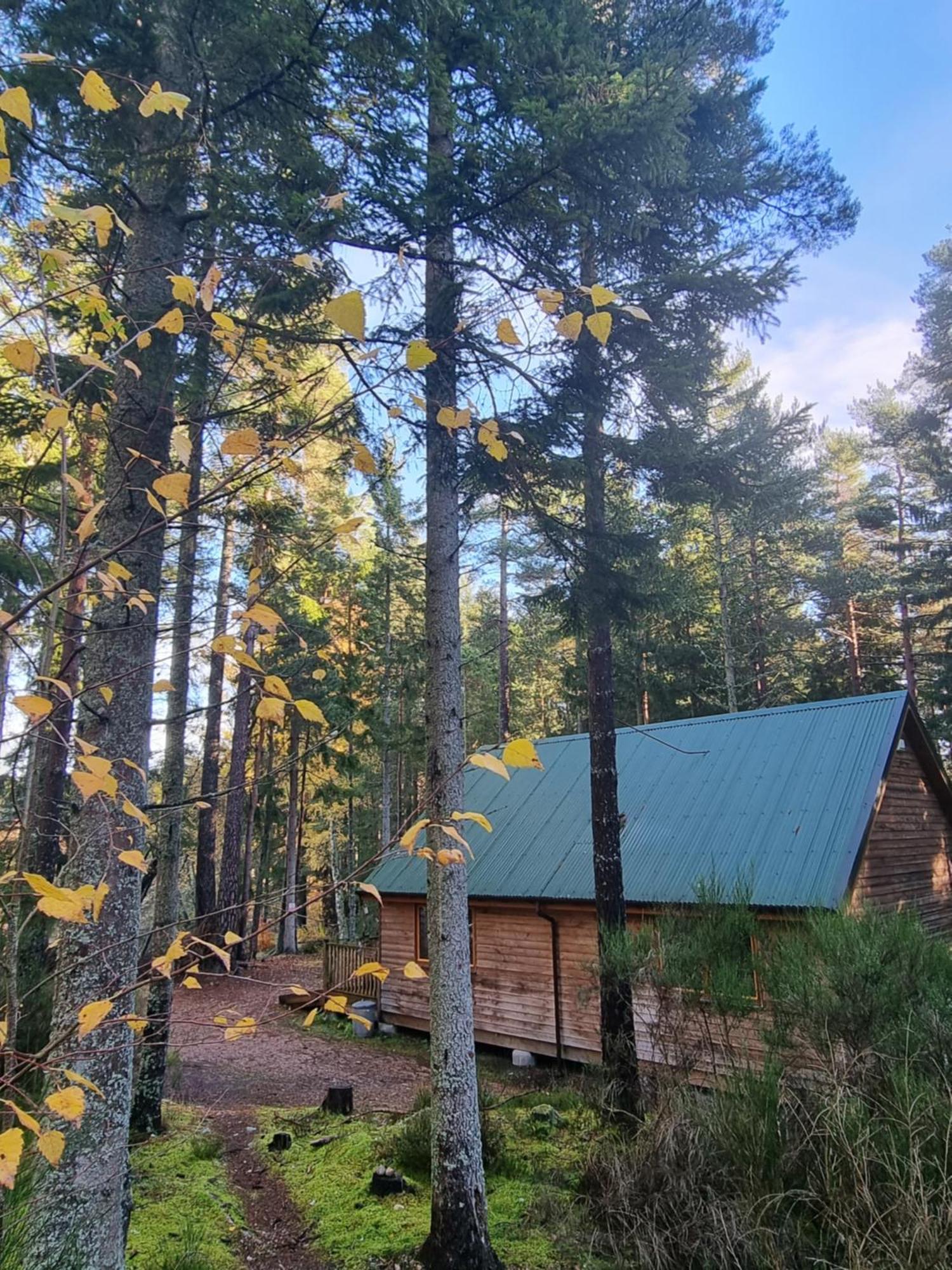 Cairngorm Lodges Aboyne Ngoại thất bức ảnh